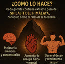 GOMAS SHILAJIT x 60 C/U+ eBook "Desata tu Testosterona, Guía practica" GRATIS